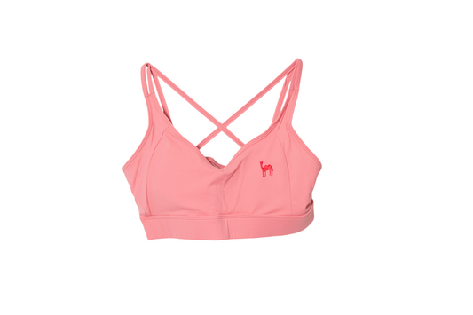 Runner Set Sports Bra