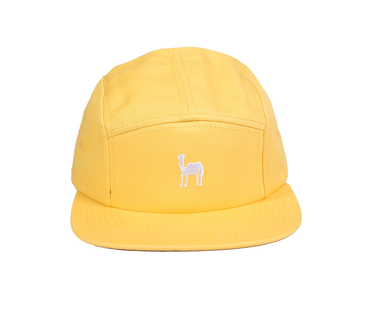 5 Panel Endurance Cap